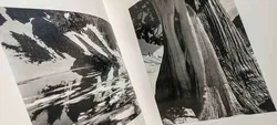 Edward Weston – Meisterwerke der Fotografie (Hardcover-Bildband) – Vorschau 5