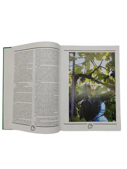 Ileane Schwarzkogler und Harald Vetter - Weinkultur - Bild 2