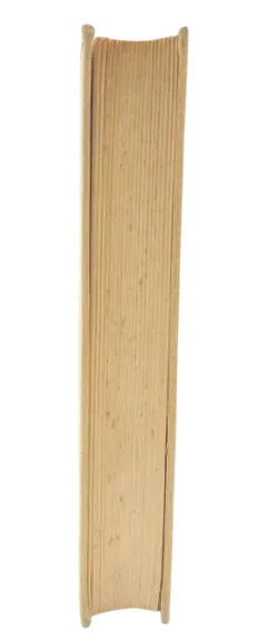 Die hundert Tage - Joseph Roth - Bild 4