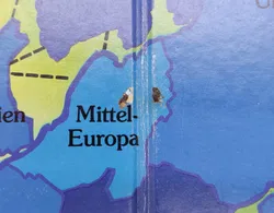 Parker Risiko -Das Strategie-Spiel Gesellschaftspiel/Brettspiel - Bild 5