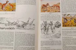 Peter Kühlemann „Wilde Tiere fremder Länder