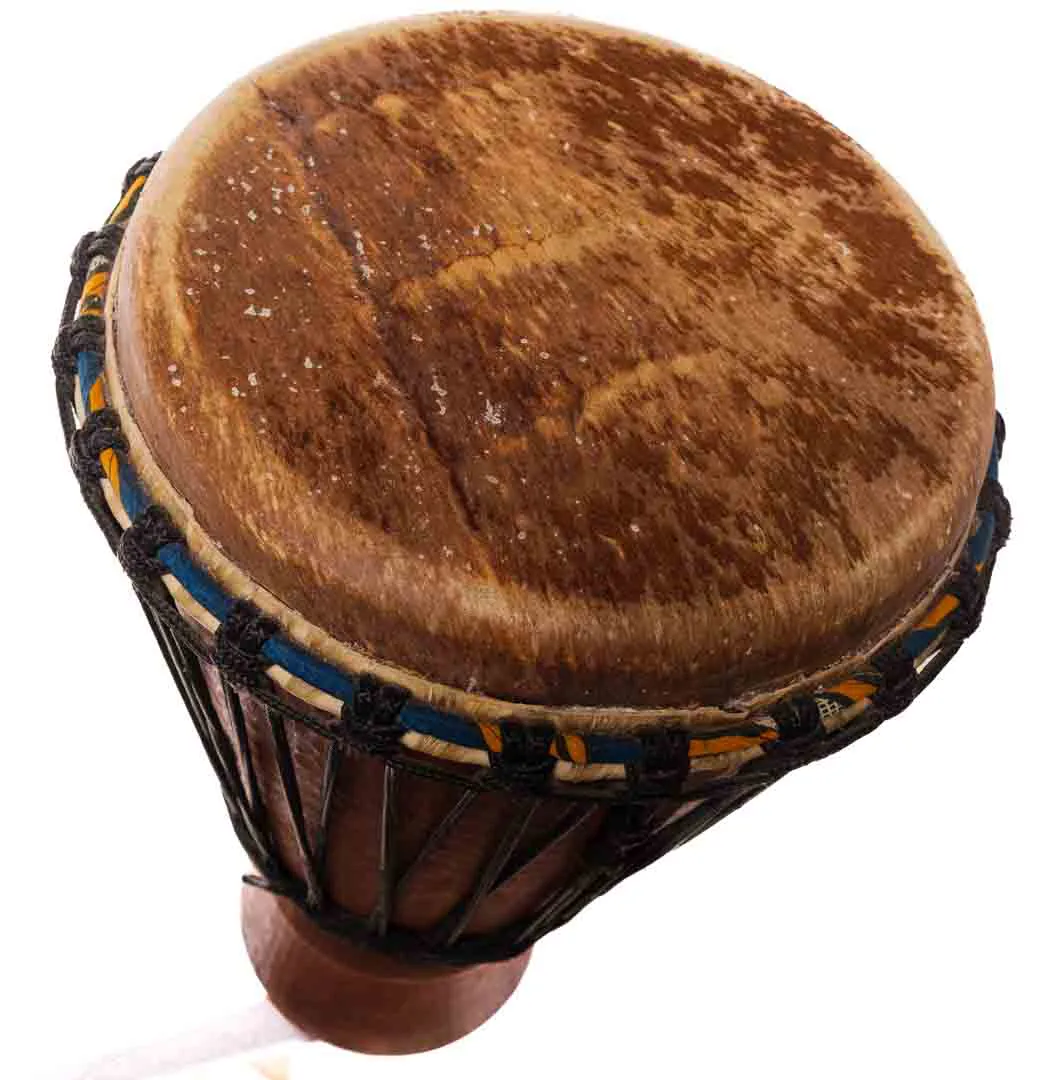 Trommel Bougarabou, afrikanische Trommel, 63 cm Hoch – Bild 2