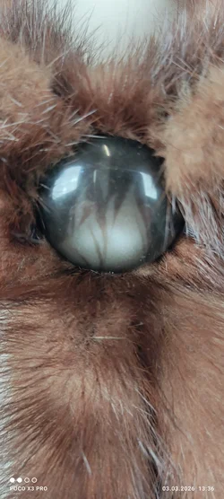 Vintage echter Pelz Nerzschal  - Bild 6