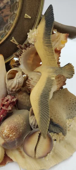 Tischdeko Aus Echten Muscheln | MIt Schönheitsfehler - Bild 6