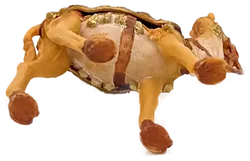 Krippenfigur Kamel - Bild 5