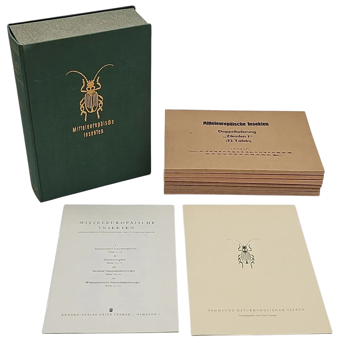 Mitteleuropäische Insekten - Anhangsweise Spinnentiere und Tausendfüssler - Erich Cramer - Bild 2