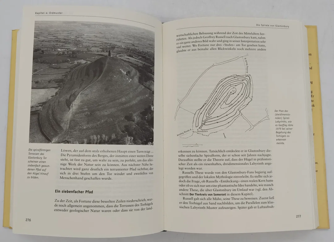 Buch "Halley, Hünen, Hinkelsteine" Die großen Rätsel der Menschheit von Petter James und Nick Thorpe – Bild 7