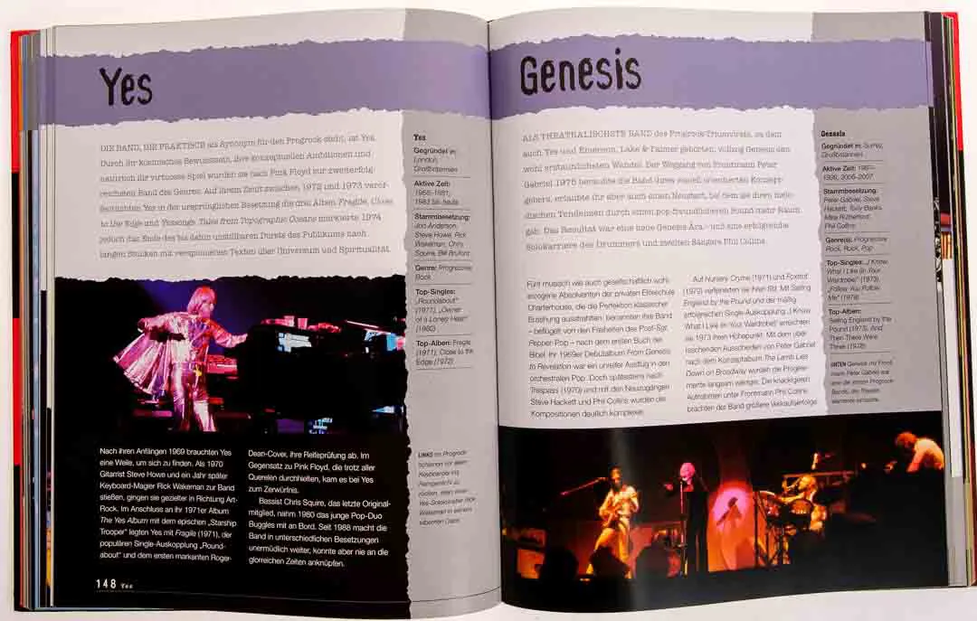 Rock Rough Guide Taschenbuch Metzler Musik & Die Geschichte der Rockmusik – Bild 3