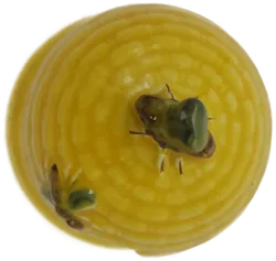 Goebel Honigtopf 