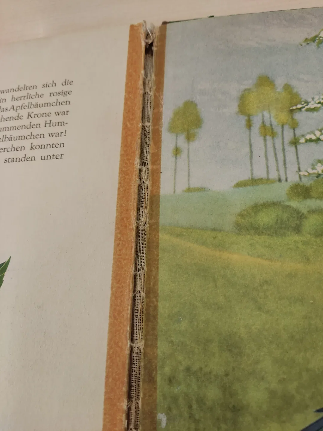 Das Apfelbäumchen mit den goldenen Früchten - Artia Filmmärchen – Bild 3