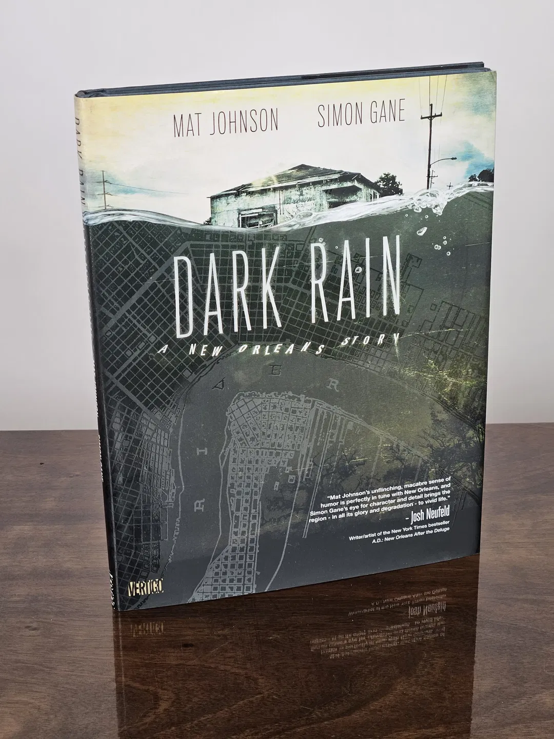 Dark Rain - Mat Johnson, Simon Gane - Bild 1