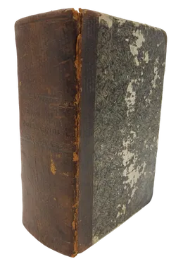 Die Bibel / Heilige Schrift des alten und neuen Testaments - Deutsche Übersetzung D. Martin Luthers - Bild 2