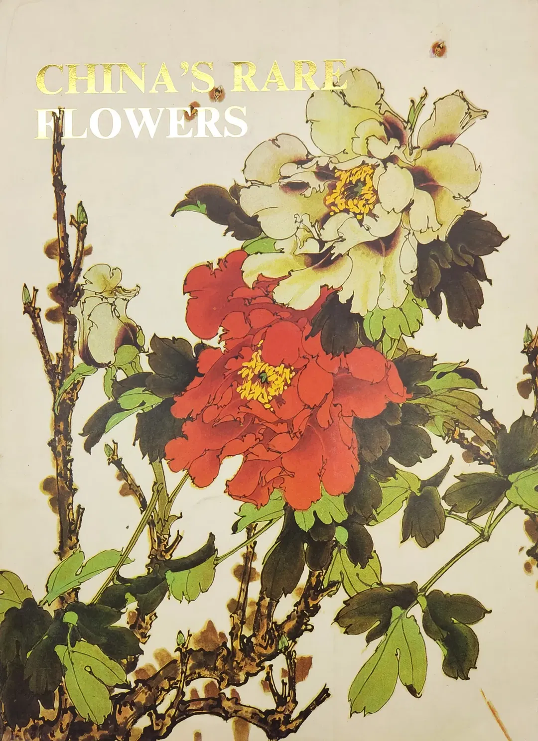 China's Rare Flowers - Guoting Wu, Jiaxi Wang, Yue Ma - Bild 2