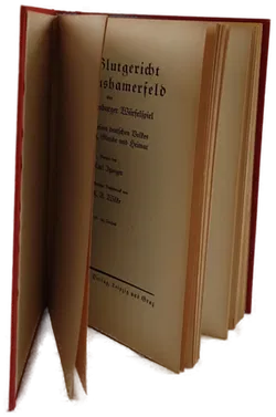 Karl Itzinger Es muss sein- Der Kampf eines deutschen Bauernvolkes um Freiheit  - Bild 5