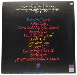 Neil Diamond, Beautiful Noise - Schallplatte - Bild 3