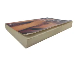 Wüten, toben, traurig sein: Starke Gefühle bei Kindern - Bild 3