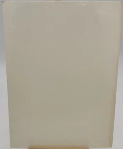 Buch Die großen Maler 
