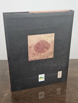 Prehistory of Brazil - Silvia Negreiros, Bia Hetzel  - Bild 2