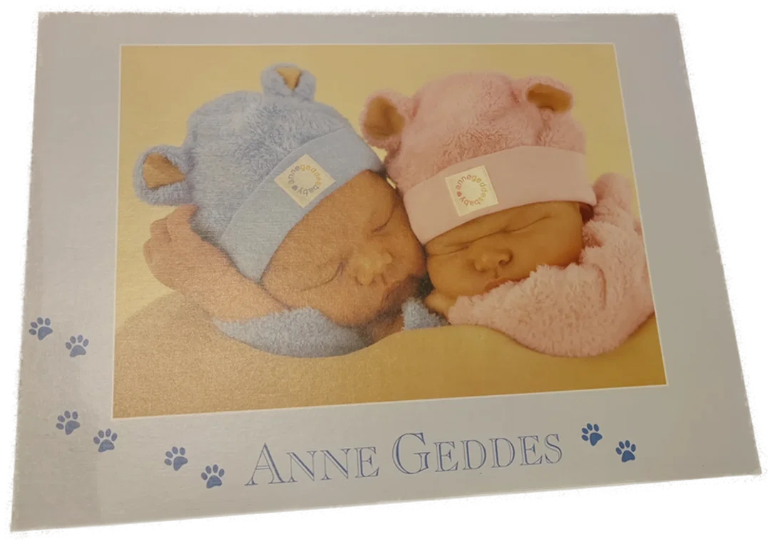 Schmidt Puzzle 1000 Stk Anne Geddes – Bild 1