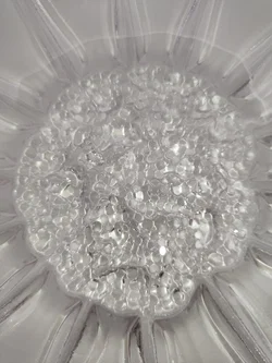 Kristall-Servierplatte Mikasa Transparent | Sunflower Frost - Bild 6