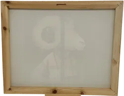 Bild Druck auf Leinwand Steinbockkopf auf Körper von Markus Binz  - Bild 2