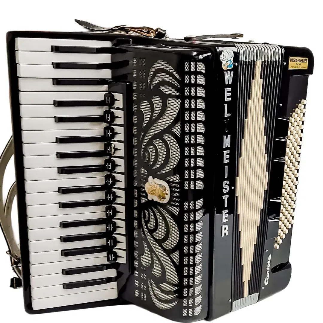 Weltmeister Cantus IV Akkordeon Schwarz 120 Bass | Defekt für Bastler - Bild 1