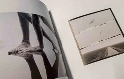 The Polaroid Book - Barbara Hitchcock - Bild 3