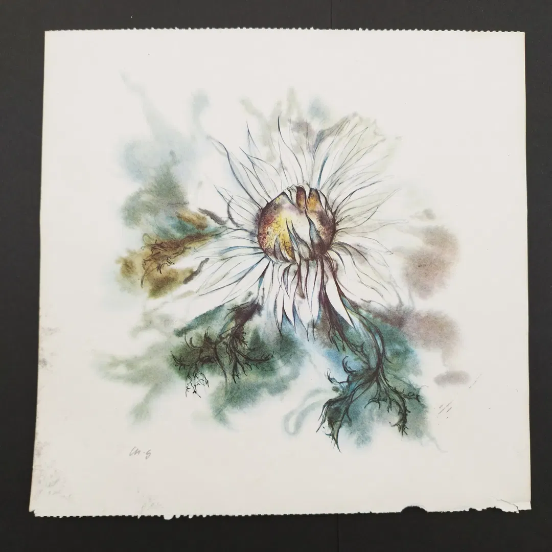 Ellen Gibis: Aquarellmalerei einer Blume - KOPIE - Bild 1