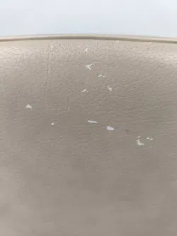 8 Stück Rolf Benz Stühle Leder - Bild 22