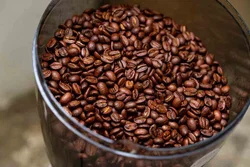 Rancilio Kryo 65 OD Gastro-Kaffeemühle – On-Demand, Baujahr 2021 – Vorschau 2