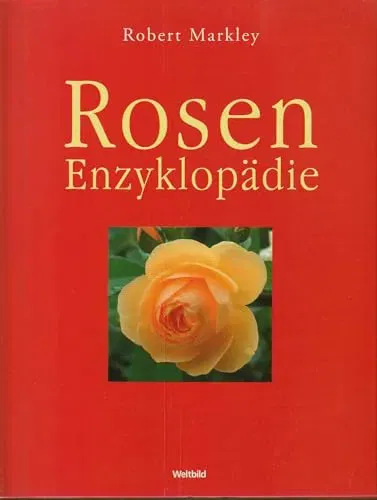 Buch 
