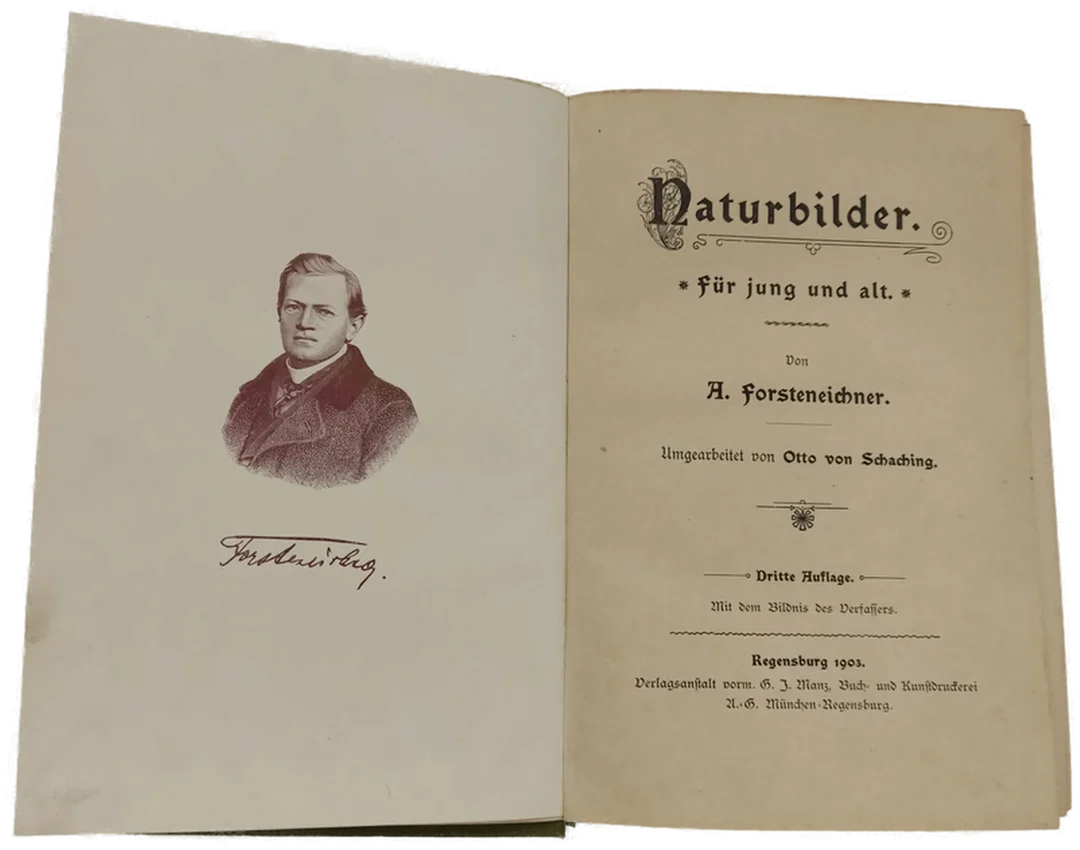 Altes Buch Forsteneichner Naturbilder – Bild 5