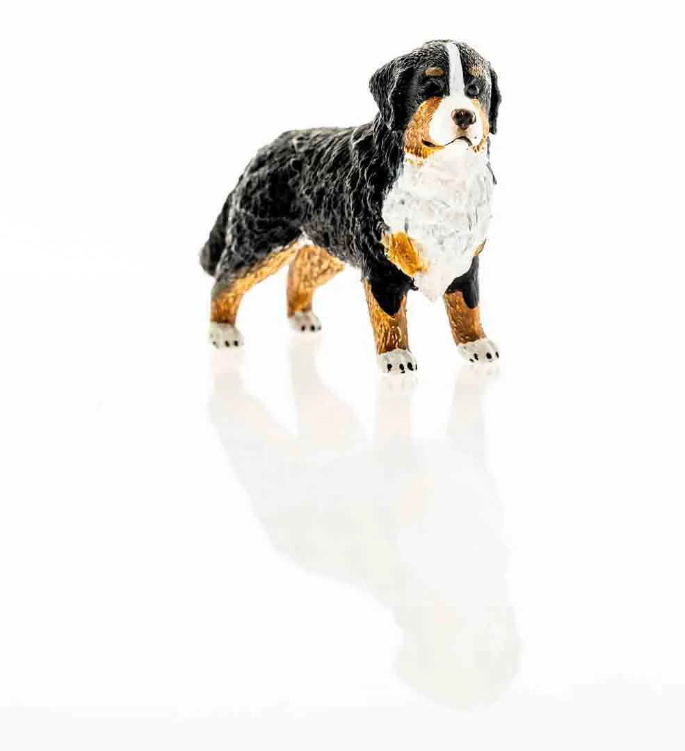 Schleich Farm World Berner Sennenhündin 16397 – Bild 2