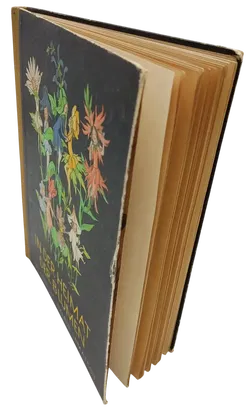 Vintage Buch - In der Heimat der Blumen - Annelies Umlauf-Lamatsch - Bild 2