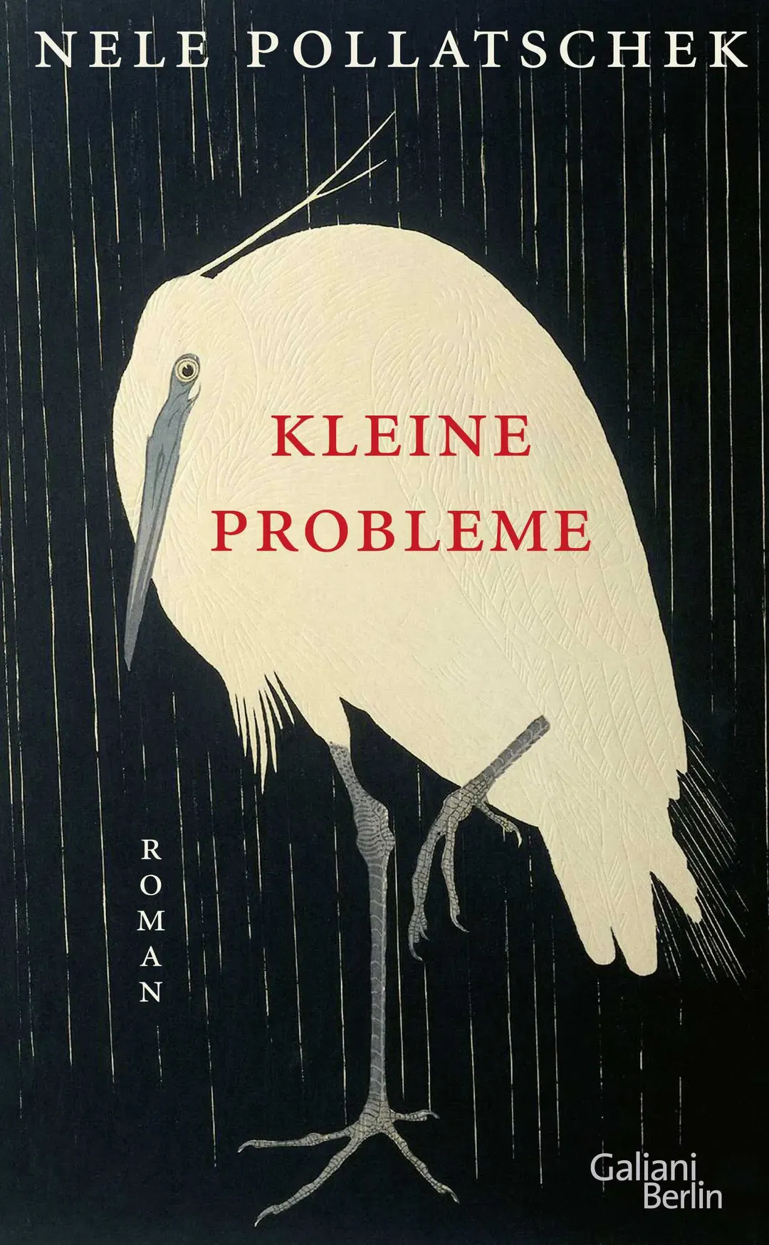 Kleine Probleme - Nele Pollatschek - Bild 1