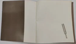 Buch Ver Sacrum 