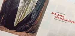 Das Leben der Mächtigen – Zora del Buono | Naturkunden | Matthes & Seitz - Bild 2