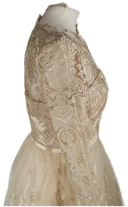 Spitzenkleid Chi Chi London Champagner | Festlicher Charme – Vorschau 3