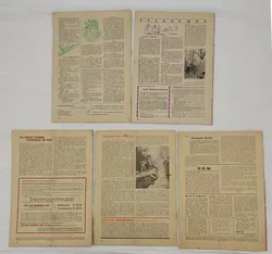 Jugendzeitschrift - Jugend am Lagerfeuer - 18 Stück - Bild 4