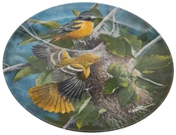 Porzellan Sammlerteller von Edwin M. Knowles, 3er Set, Kollektion Birds of Your Garden, "Ther Cardinal", "The Baltimore Oriole", "The Chickadee", von 1985 mit Wandhalterung – Vorschau 9