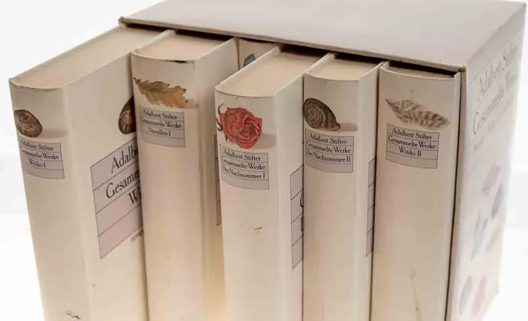 Buch Adalbert Stifter Gesammelte Werke in 6 Bänder inkl. Bergkristall und Nichts auf der Welt geht über ein Herz - Bild 2