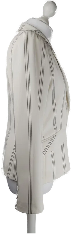 Hosenanzug Brand Heritage 17&Co. Gestreift | Business-Klassiker - Bild 2