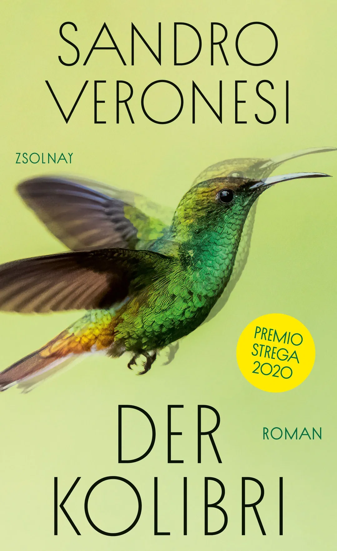 Der Kolibri - Sandro Veronesi – Bild 1