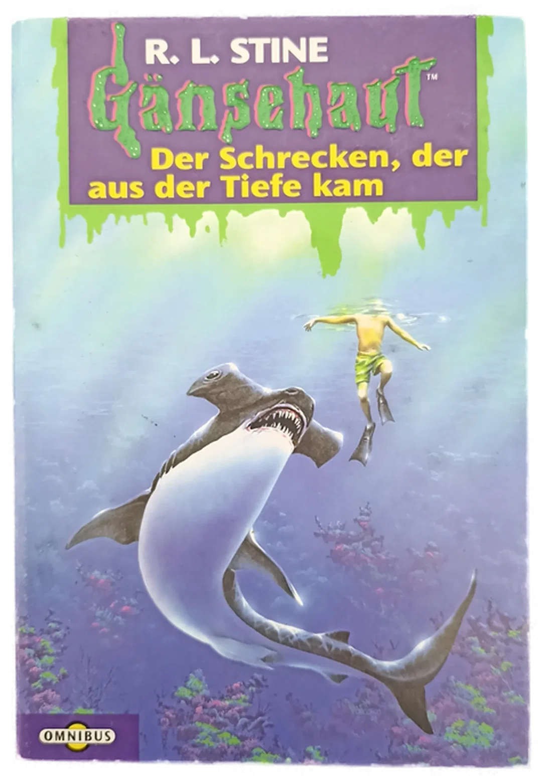 R. L. Stine Gänsehaut - 