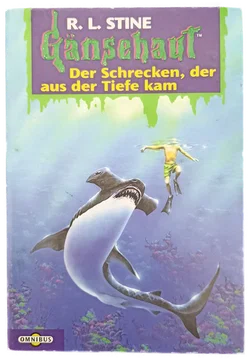 R. L. Stine Gänsehaut - 