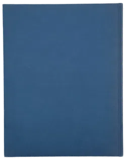 Das grosse Buch der Drachen - Peter Dickinson,Wayne Anderson - Bild 2