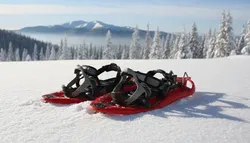 Hochwertige TSL Outdoor Schneeschuhe 325 Escape Easy in leuchtendem Rot. - Bild 1