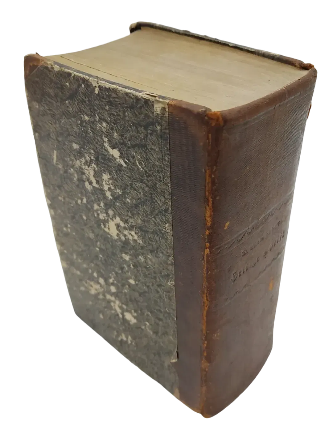 Die Bibel / Heilige Schrift des alten und neuen Testaments - Deutsche Übersetzung D. Martin Luthers - Bild 1