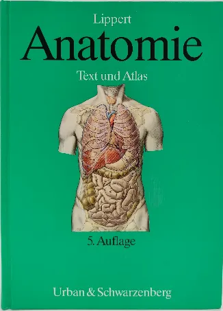 Anatomie - Herbert Lippert - Bild 1