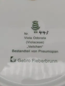 Suisse Langenthal Gebro Fieberbrunn Wandteller Nr. 443 - Bild 3